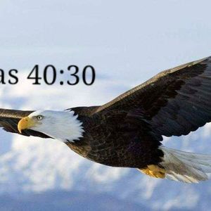 Meet your Posher, Isabel